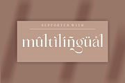 Vanger _ modern serif font, a Serif Font by Penatic Studio (Thumbnail 10 of 10)