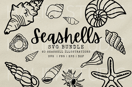 Seashell SVG Clipart Illustrations, an Object Illustration by HalieKStudio