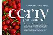 Volgue Modern Serif Font, a Serif Font by Alfinart (Thumbnail 8 of 10)