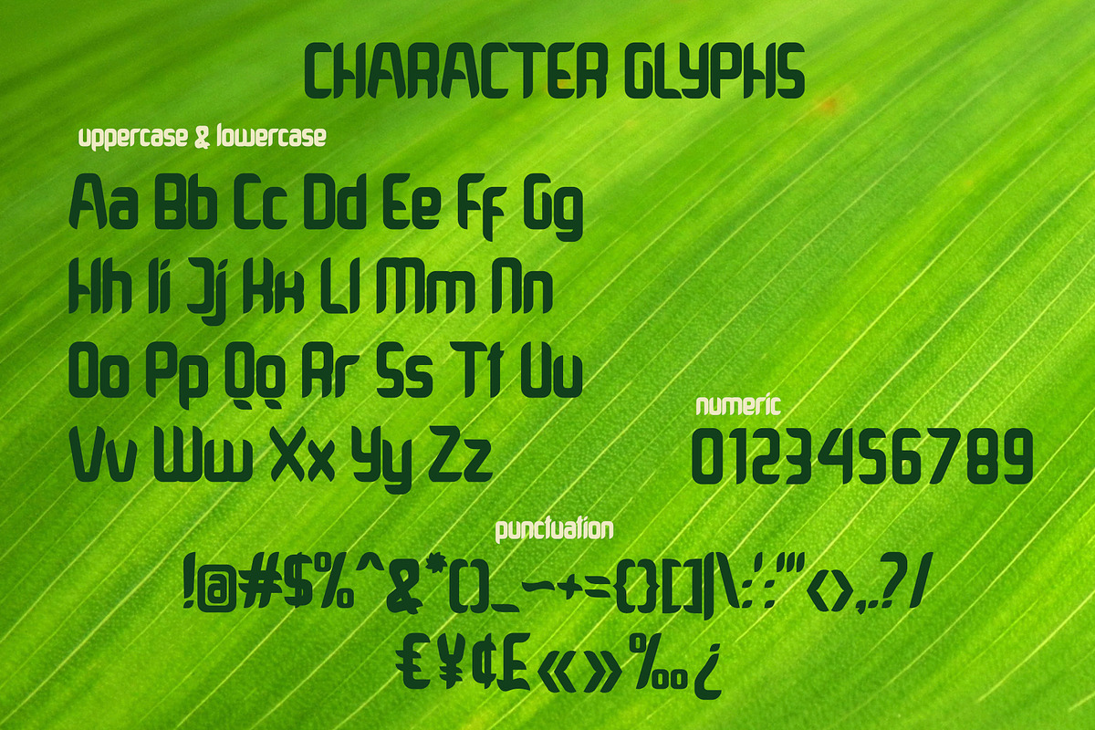 Grindleaf, a Font by LetterStock (Photo 4 of 6)