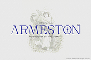 Armeston - Modern Serif, a Serif Font by tebaltipislab (Thumbnail 1 of 15)