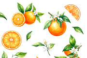 Orange Fruits In Watercolor Style, an Object Graphic by Black White Mouse Design (Thumbnail 2 of 3)
