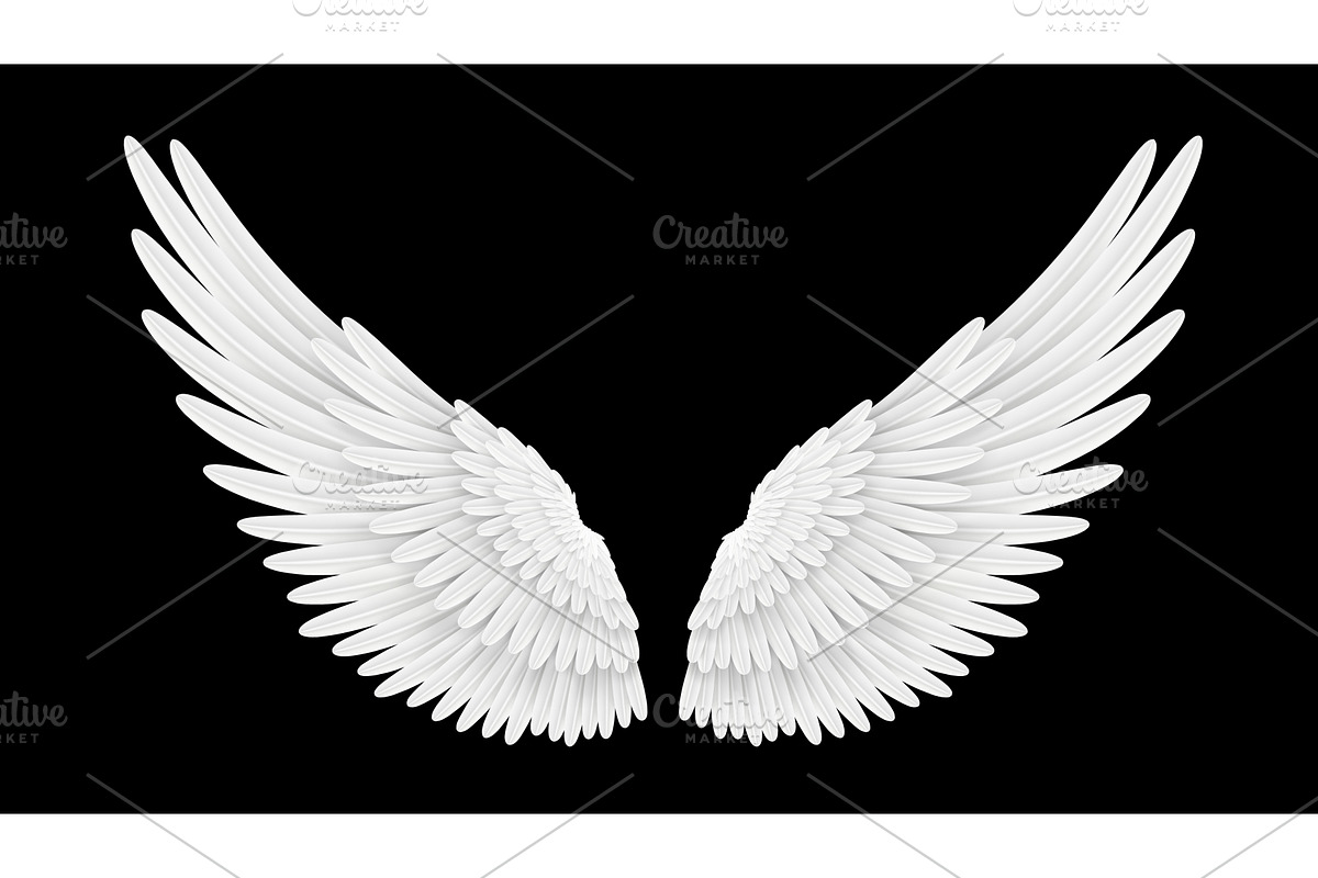 Realistic white 3d angel wings, an Animal Illustration by Buch&Bee