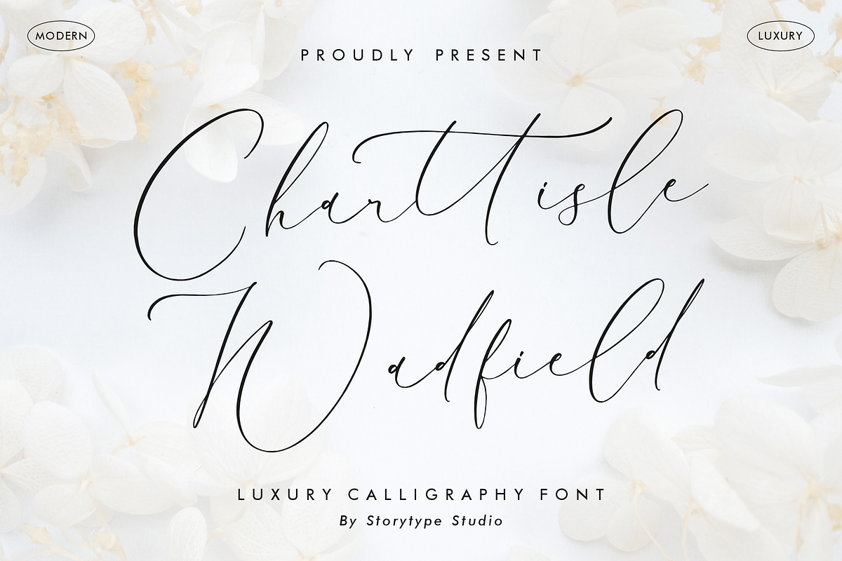 Charttisle wadfield Luxury Font, a Serif Font by Storytype Studio (Photo 1 of 15)