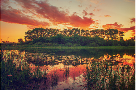 Beautiful summer sunset, a Nature Photo by Nature and travel