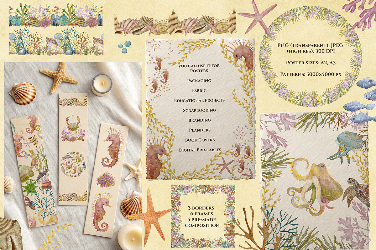 Marine Naturalist Collection, a Graphic by Kattypainting (Photo 8 of 10)