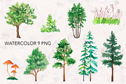 Forest Animals watercolor., an Animal Illustration by lilisavelieva (Thumbnail 4 of 6)