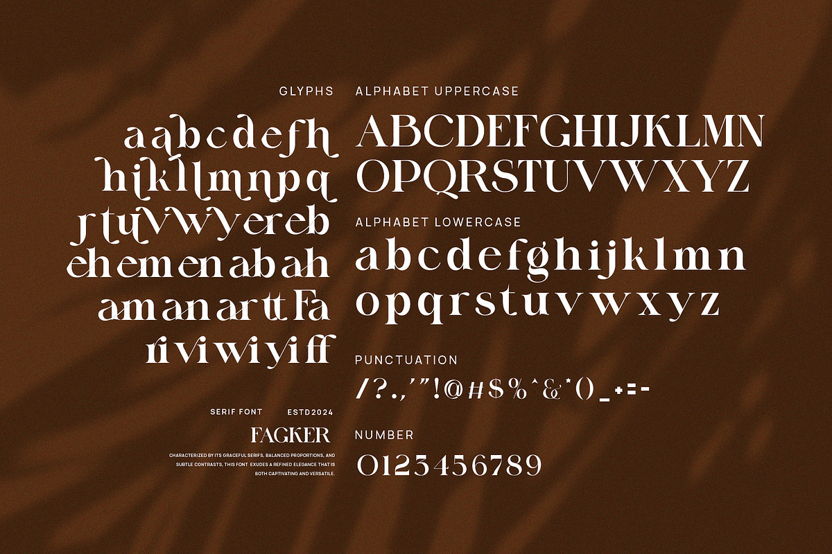 Fagker Elegant Serif Font By Perfectype preview 8