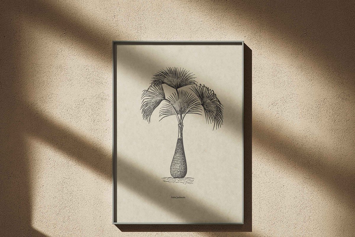 Vintage Palm Tree Vector Bundle, an Object Illustration by Seaquint (Photo 3 of 5)