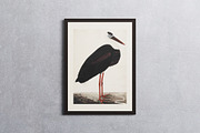 200 Frame Canvas Mockup Bundle, a Household Mockup by FoundImages (Thumbnail 44 of 57)