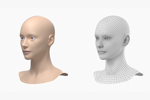 Natural Female Head 01 Generic Mesh