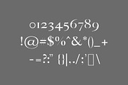 Thomas Craft A Modern Serif Typeface, a Serif Font by Creativetacos (Thumbnail 3 of 7)