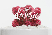 Denarrio Script 80%off, a Script Font by Studio design (Thumbnail 8 of 9)