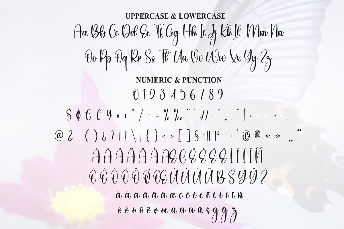 Butterflies | Script Font, a Handwritten Font by Scratchones (Photo 7 of 9)
