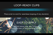 Lens Bokeh Video Overlay Loops, a Background Graphic by Enchanted Studios (Thumbnail 3 of 5)