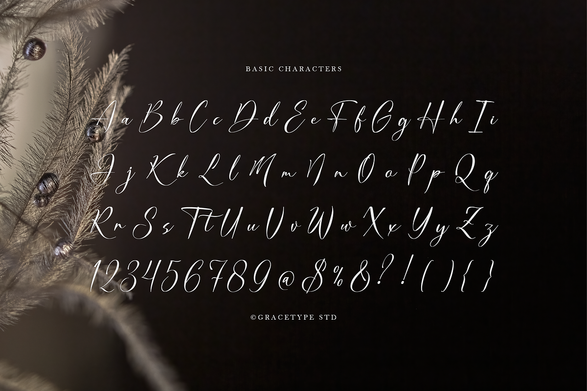 Dialmeray | Elegant Calligraphy Scri, a Script Font by gracetype_studio (Photo 10 of 12)