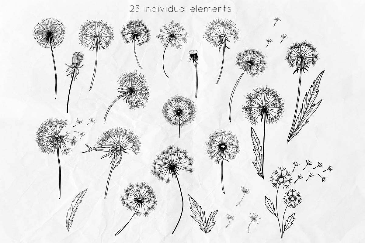 Dandelion Line Art SVG Bundle, a Decorative Illustration by Dervik Art Store (Photo 3 of 8)