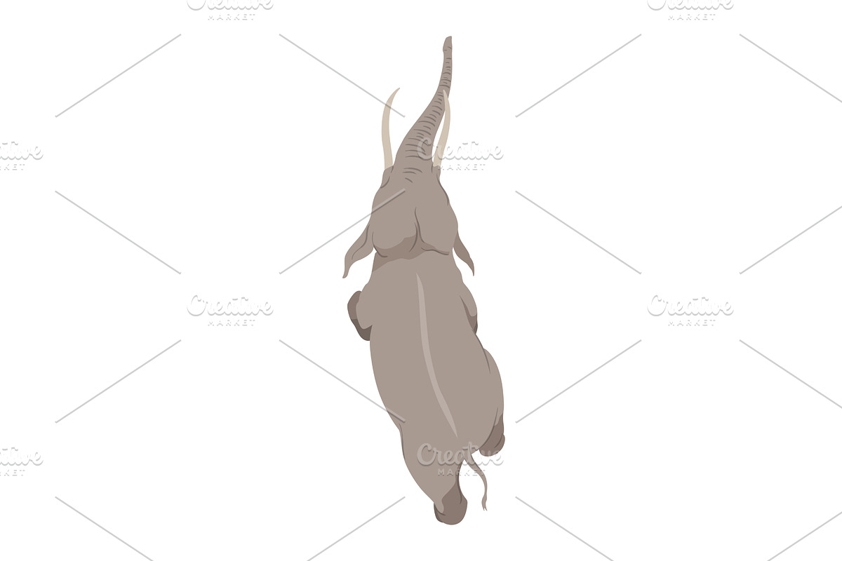 Flat vector elephant in poses, an Animal Illustration by the8monkey