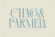 Comela Elegant Ligature Serif, a Serif Font by timelesstype.co (Thumbnail 2 of 20)