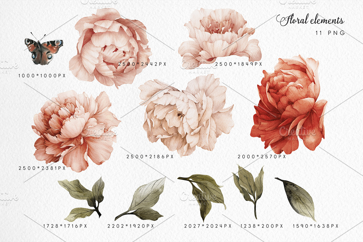 Watercolor Floral Bundle, a Texture Illustration by ollalya (Photo 54 of 112)