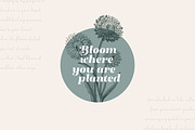 Winslow Title Complete Family, a Serif Font by Kimmy Design (Thumbnail 8 of 15)