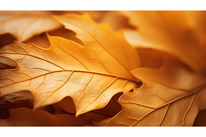 advert maple golden leaves macro ai, a Nature Photo by pikepicture