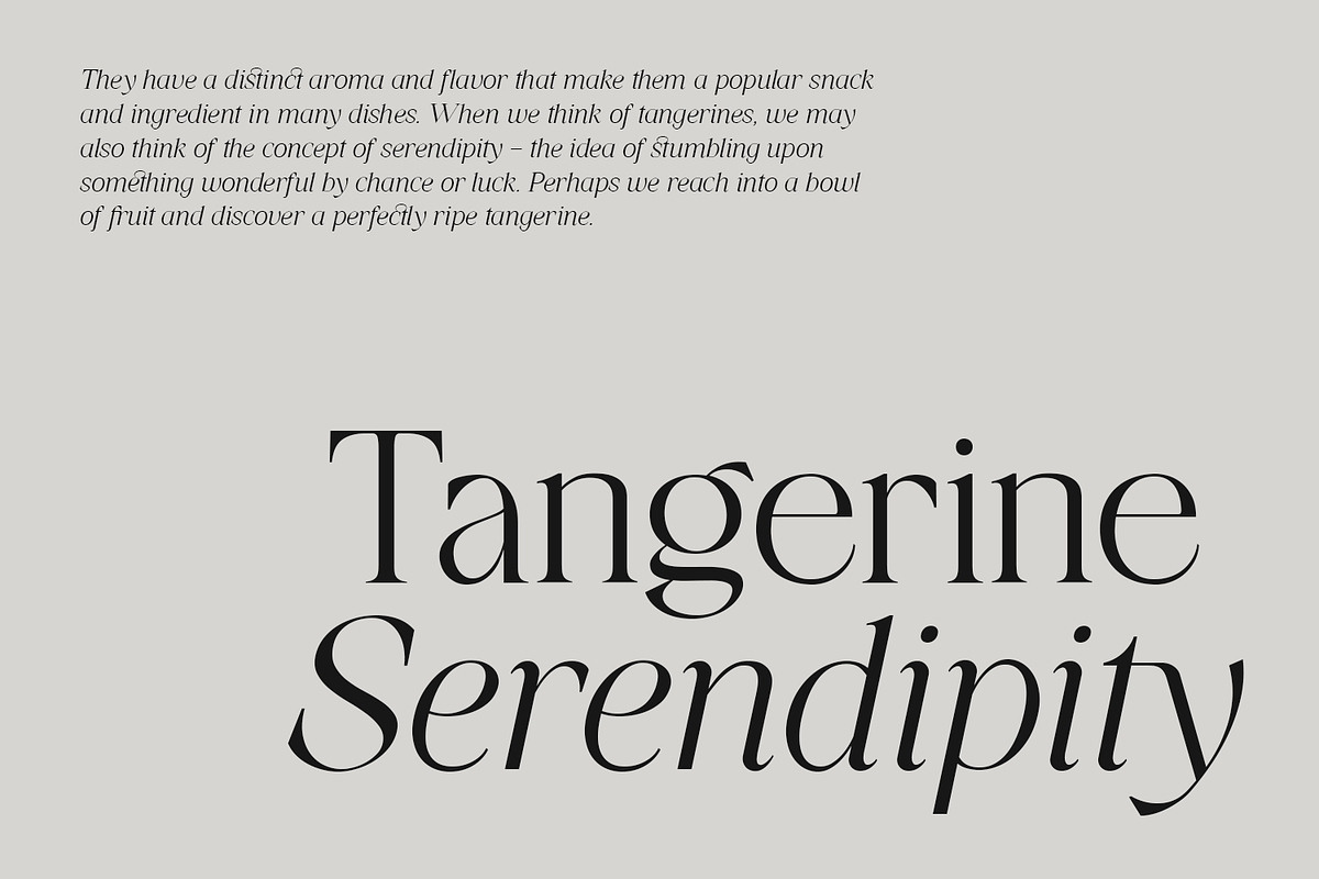Tangier - Classy Modern Serif, a Serif Font by Viswell (Photo 9 of 12)