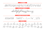 Stemle Stylistic Font, a Script Font by Design Dukkan (Thumbnail 7 of 7)