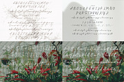 Casual Signature Font Bundles, a Handwritten Font by tebaltipislab (Thumbnail 16 of 46)