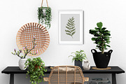 Forest Bundle, an Animal Illustration by Annie Konst (Thumbnail 19 of 23)