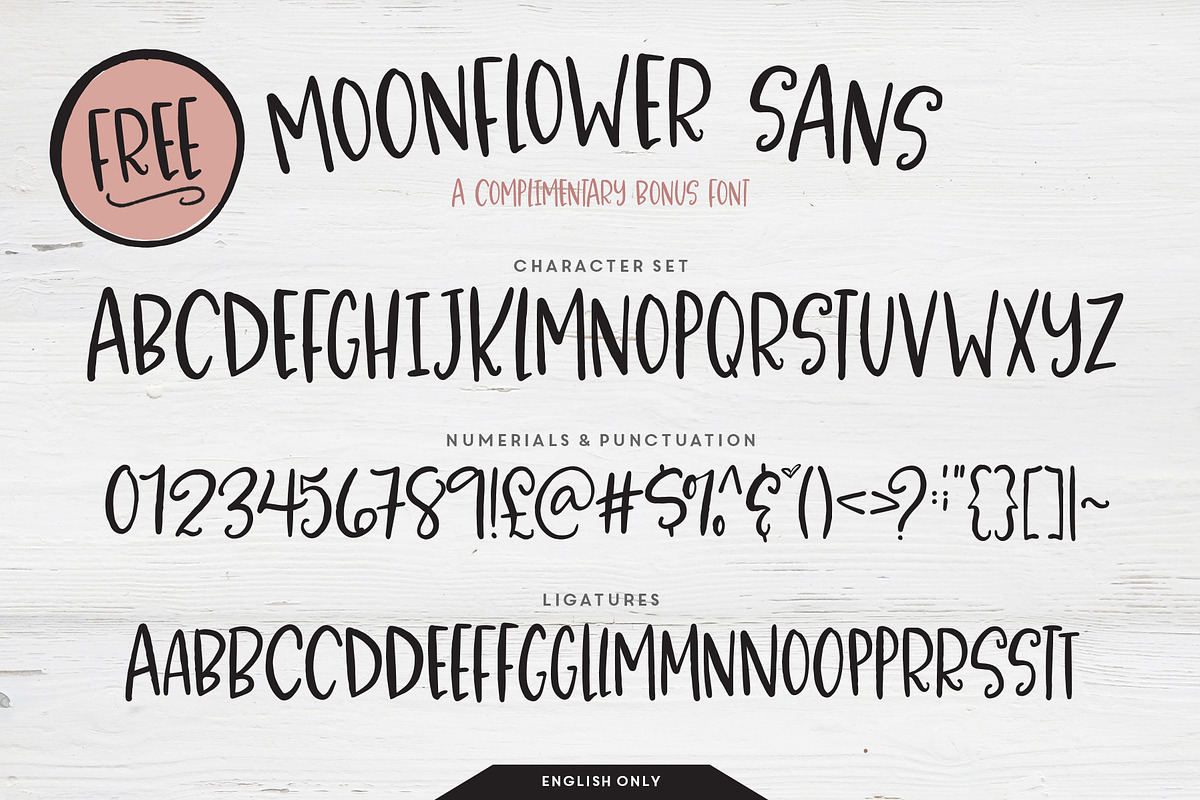 Moonflowers Font Family, a Script Font by Callie Rian & Co. (Photo 13 of 14)