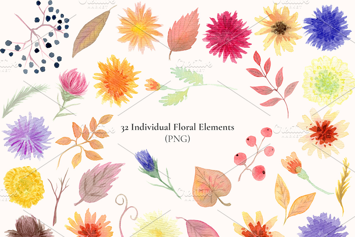 Autumn Watercolor Clipart & Patterns, a Decorative Illustration by Nadia Semyroz (Photo 2 of 19)