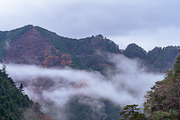 Autumn Landscape Photo Bundle Japan, a Nature Photo by Silent Nature (Thumbnail 6 of 6)