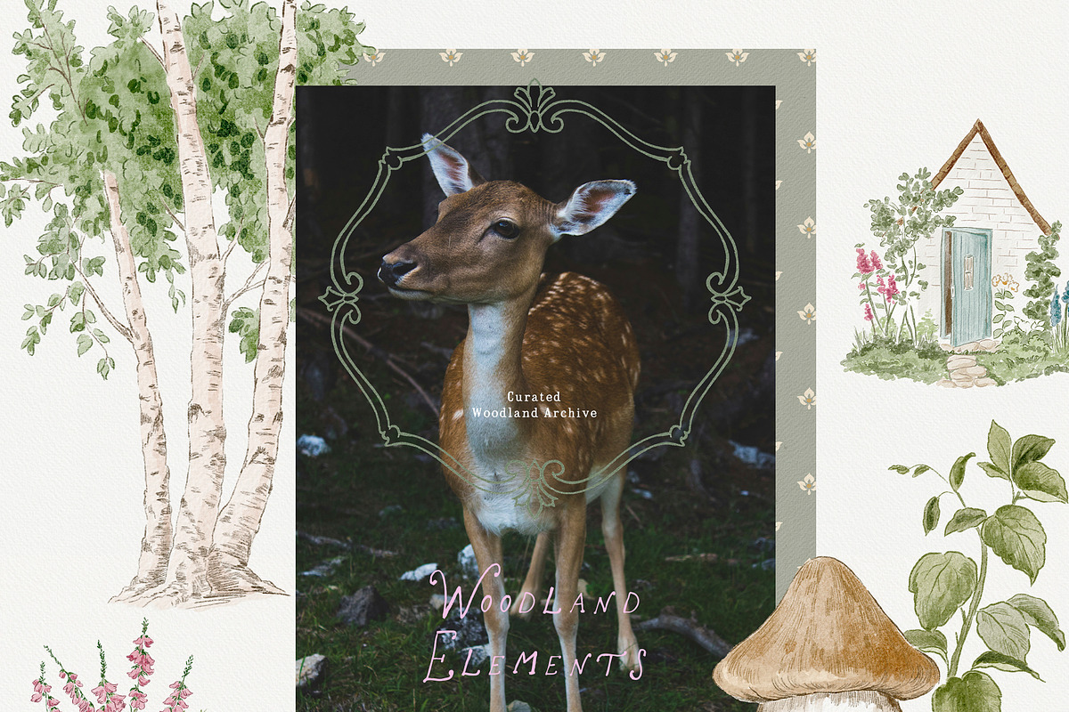Bramblewood Tales Woodland Clipart, a Decorative Illustration by Muse Artist (Photo 11 of 29)