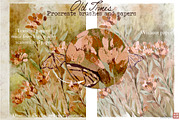 Old Times- Procreate Vintage Brushes, a Brush Add-On by BooStudio (Thumbnail 6 of 10)