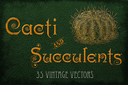 Vintage Cacti and Succulents, an Object Illustration by Mr Vintage (Thumbnail 1 of 11)