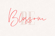 Lemonade Fonts Duo, a Script Font by kavoon (Thumbnail 5 of 20)