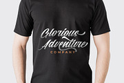 Starlight || Modern Script, a Script Font by Analogous (Thumbnail 11 of 16)