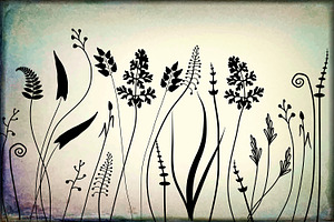 30 Floral Adobe Illustrator Brushes