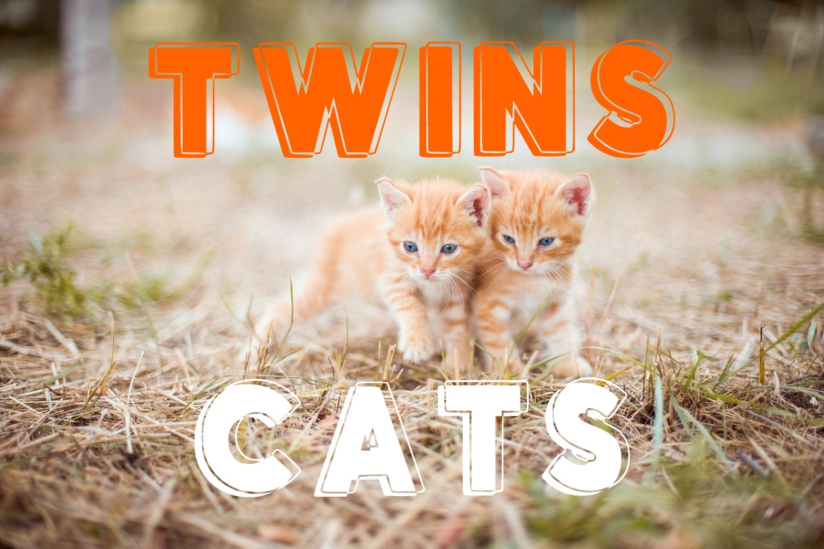 Kids Outline font, a Handwritten Font by Fourteen Letter (Photo 6 of 7)