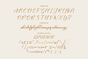 Cathylise Janetson Script Font, a Script Font by Storytype Studio (Thumbnail 13 of 16)