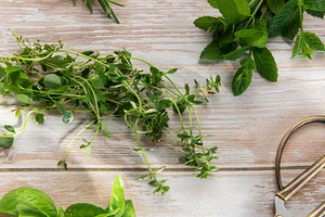 Fresh herbs collected on rustic wooden background, a Food & Drink Photo by Olena Rudo