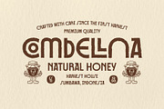 Makura Rough Artifact Display Font, a Sans Serif Font by Heinzel Std (Thumbnail 2 of 11)