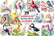 Watercolor Spring Birds Clipart, an Illustration by DreamCafeArt (Thumbnail 1 of 5)
