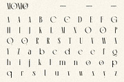 Monico Display Font, a Serif Font by Eotype Studio (Thumbnail 8 of 11)