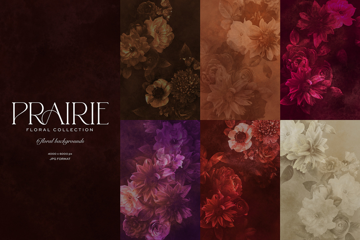 Warm Peachy Pink Floral Art Kit, a Decorative Illustration by Eclectic Anthology (Photo 10 of 12)