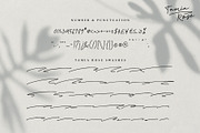 Tamia Rose Signature - Extra Swashes, a Script Font by Signatoro (Thumbnail 12 of 12)
