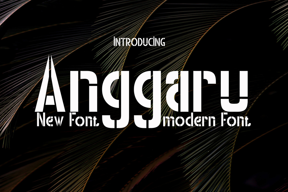 Anggaru Modern, a Font by Canden Meutuah (Photo 1 of 5)