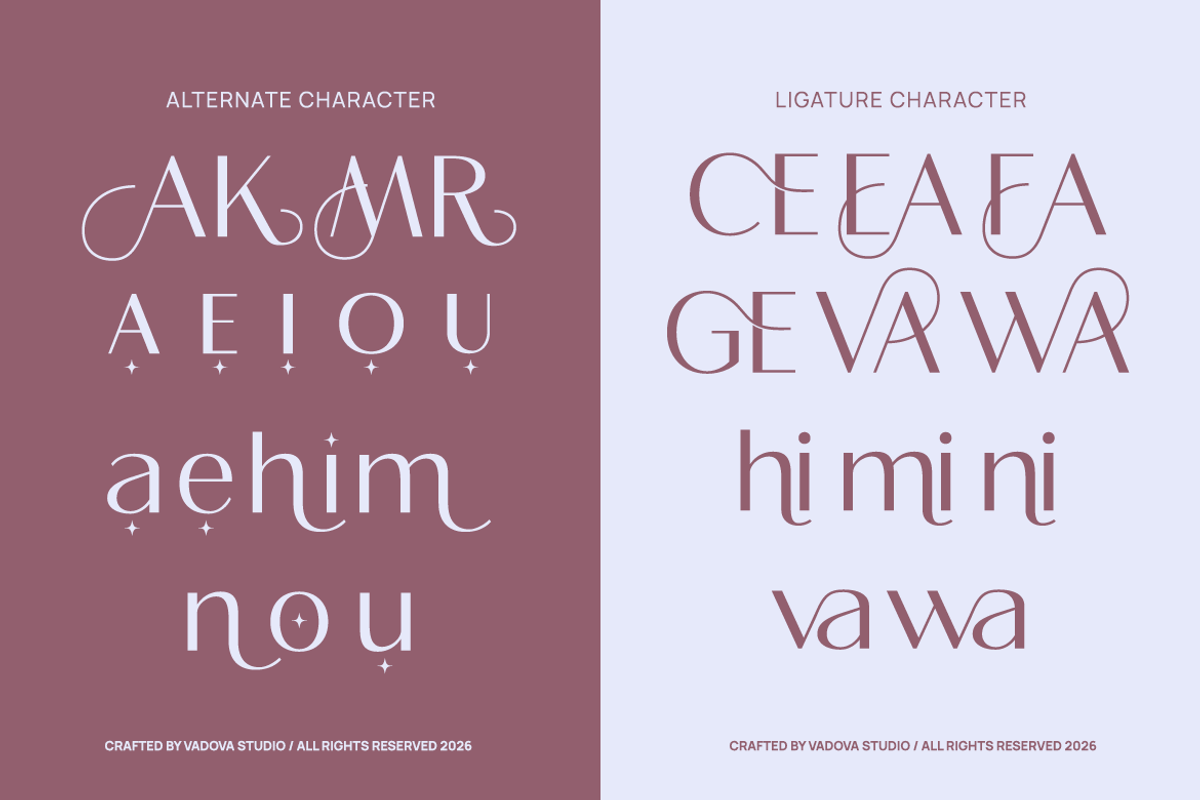 Amavera Modern Elegant Sans Font, a Sans Serif Font by Vadovastd (Photo 6 of 9)