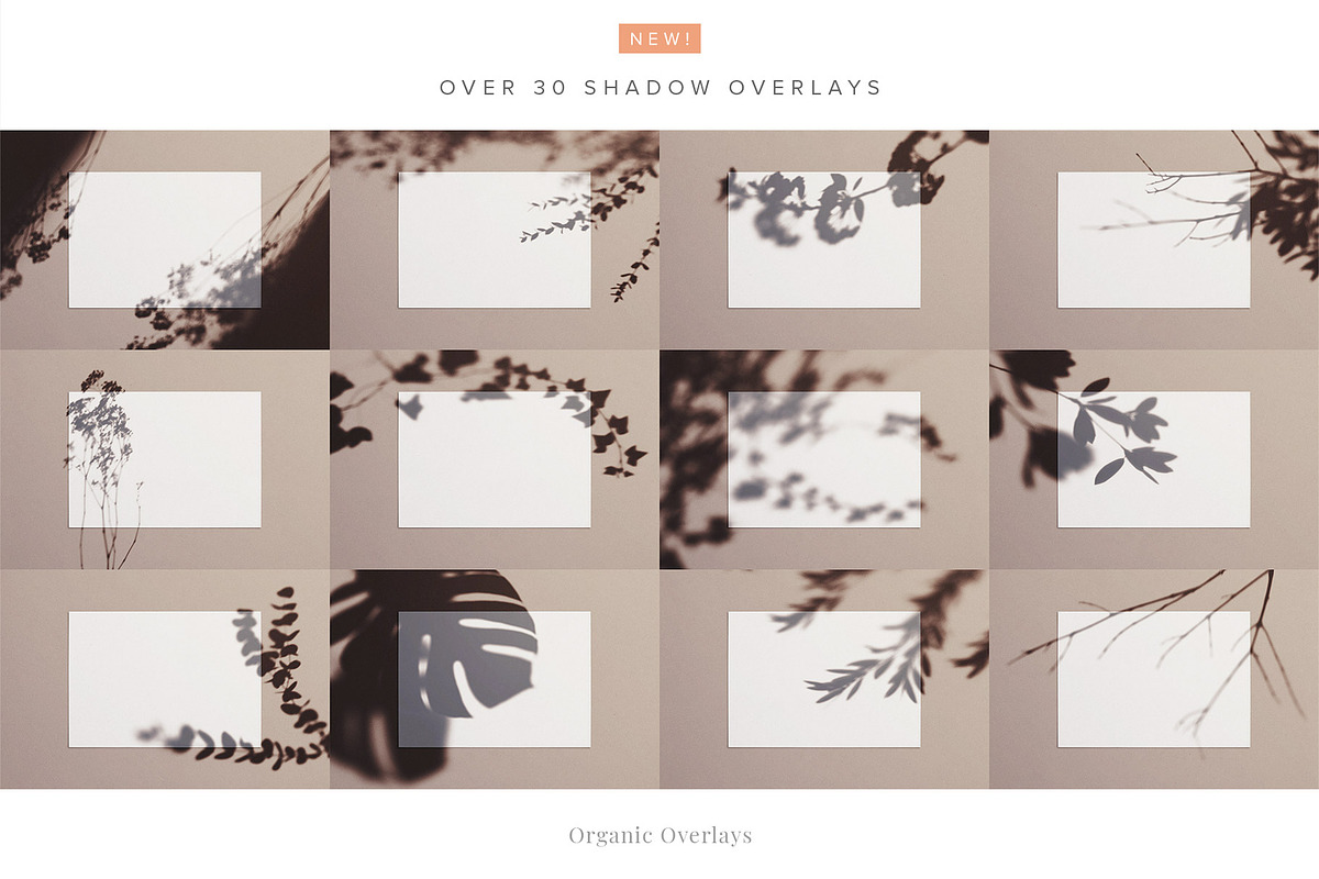 Cards & Envelopes Mockups Scene, a Print Template by Custom Scene (Photo 13 of 19)